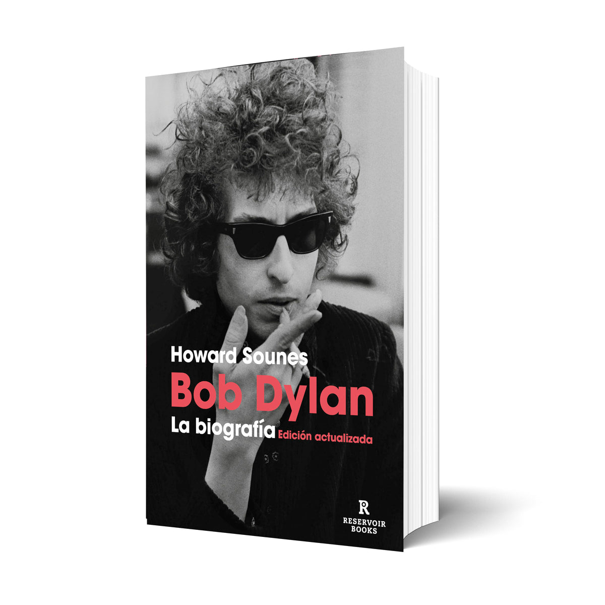 Bob Dylan, la biografía de El Dromedario Records