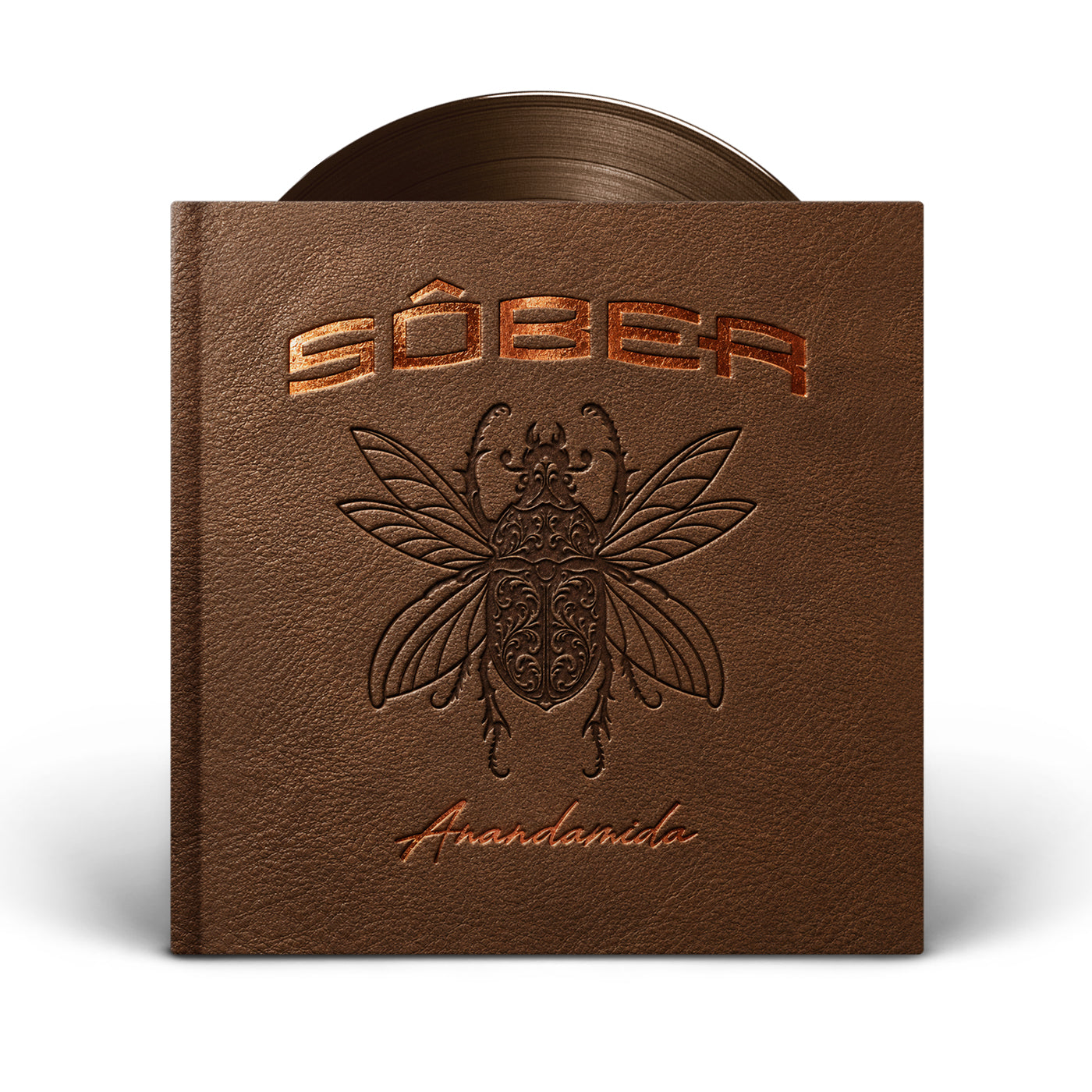 LP – Anandamida. Edición Premium