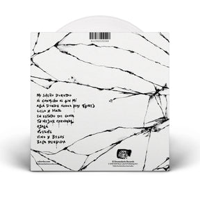 LP - Balance de daños de El Dromedario Records