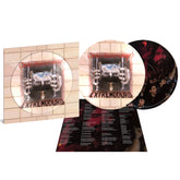 LP - Picture Disc - Dónde están mis amigos de El Dromedario Records