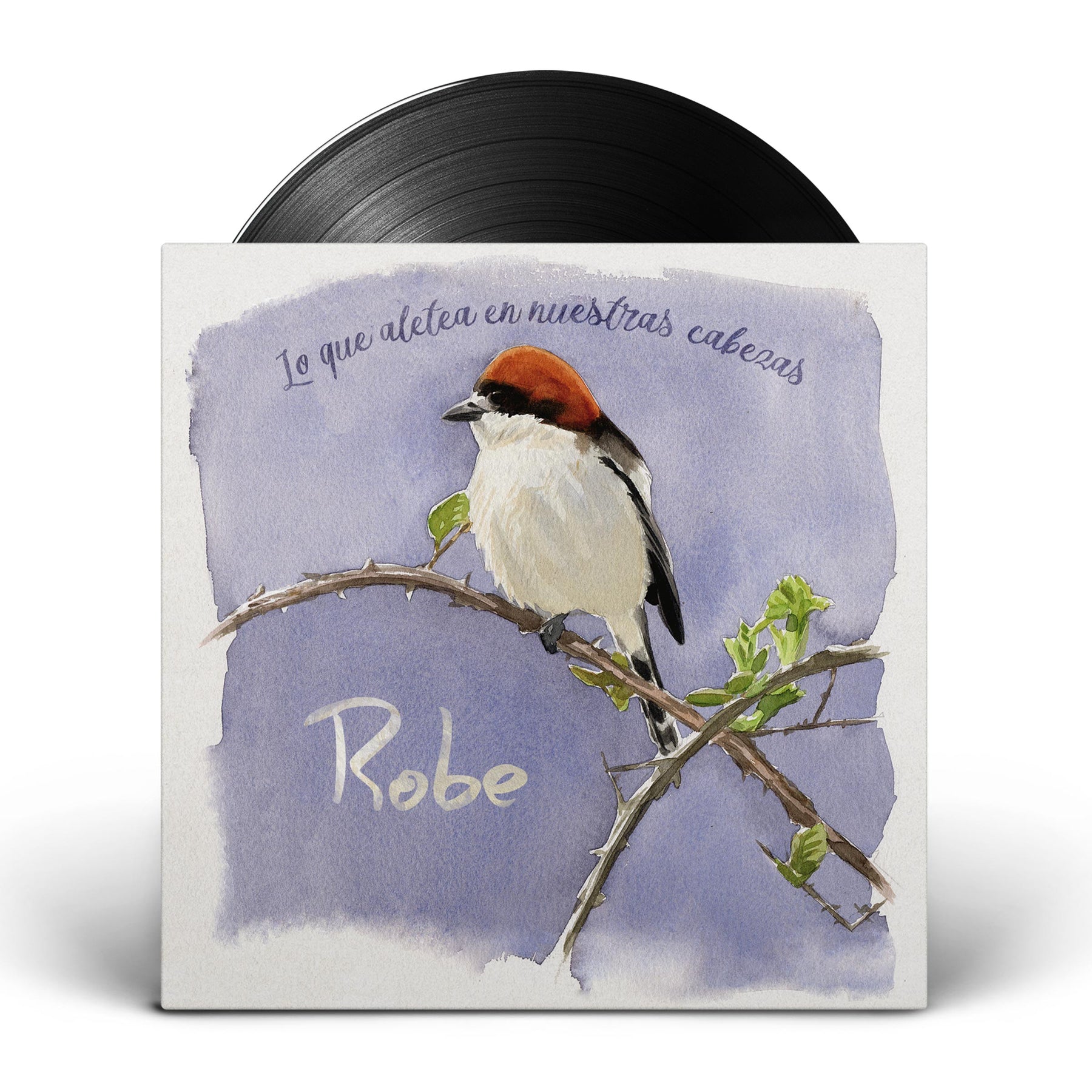 LP - Lo que aletea en nuestras cabezas de El Dromedario Records