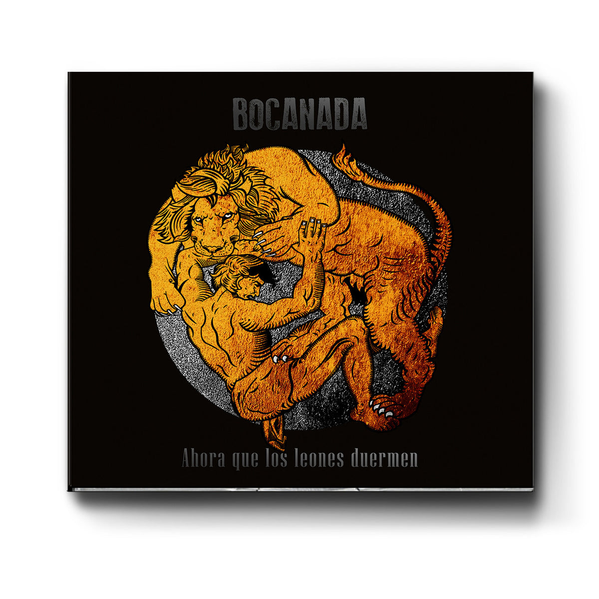 Ahora que los leones duermen