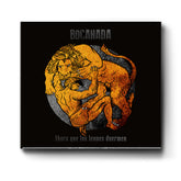 Ahora que los leones duermen